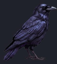 crow_neutral_standing_transparent_side_v01.png