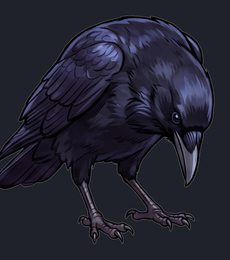 crow_looking-down_standing_transparent_side_v01.png