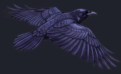 crow_flying_level-transparent_left_v01.png