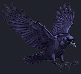 crow_landing_wings-raised-transparent_front_v01.png