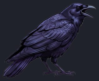 crow_calling_beak-open-transparent_side_v01.png