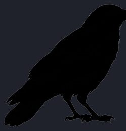 crow_silhouette_standing-transparent_side_v01.png