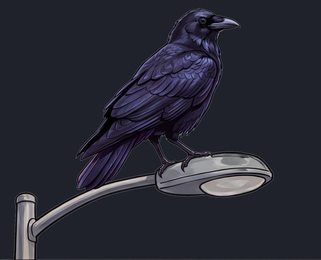 crow_perched_streetlight-transparent_side_v01.png