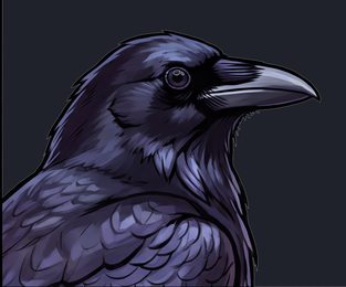 crow_head-closeup_transparent_threequarter_v01.png