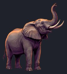 elephant_isolated-view-03_transparent_v01.png