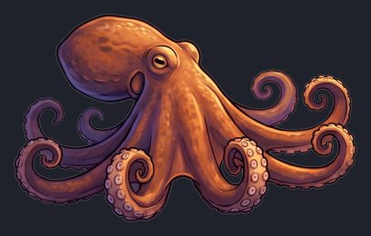 octopus_isolated-view-01_transparent_v01.png