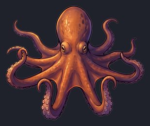 octopus_isolated-view-04_transparent_v01.png