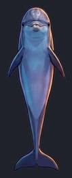dolphin_isolated-view-02_transparent_v01.png