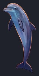dolphin_isolated-view-03_transparent_v01.png
