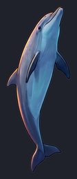 dolphin_isolated-view-04_transparent_v01.png