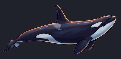 orca_isolated-view-01_transparent_v01.png