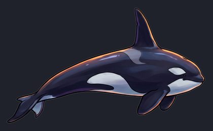 orca_isolated-view-02_transparent_v01.png