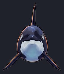 orca_isolated-view-03_transparent_v01.png