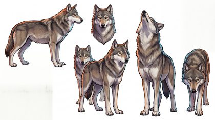 wolf_production-sheet_static_v01.png