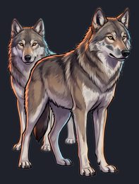 wolf_isolated-view-03_transparent_v01.png