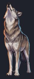wolf_isolated-view-04_transparent_v01.png