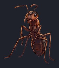 ant_isolated-view-01_transparent_v01.png