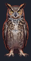owl_isolated-view-02_transparent_v01.png