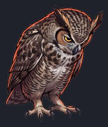 owl_isolated-view-04_transparent_v01.png