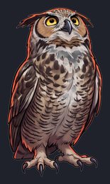 owl_isolated-view-05_transparent_v01.png