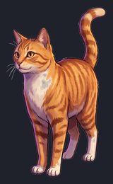 cat_isolated-view-01_transparent_v01.png