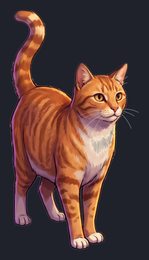 cat_isolated-view-03_transparent_v01.png