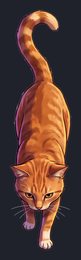 cat_isolated-view-05_transparent_v01.png