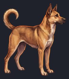 dog_isolated-view-01_transparent_v01.png