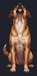 dog_isolated-view-04_transparent_v01.png