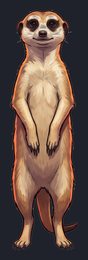 meerkat_isolated-view-02_transparent_v01.png