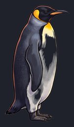 penguin_isolated-view-01_transparent_v01.png