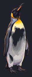penguin_isolated-view-04_transparent_v01.png