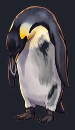 penguin_isolated-view-05_transparent_v01.png