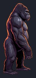 gorilla_isolated-view-01_transparent_v01.png