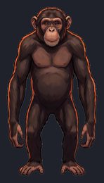 chimpanzee_isolated-view-02_transparent_v01.png