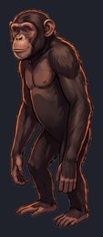 chimpanzee_isolated-view-03_transparent_v01.png