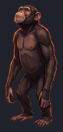 chimpanzee_isolated-view-04_transparent_v01.png