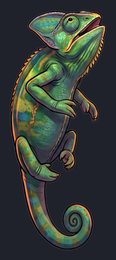 chameleon_isolated-view-04_transparent_v01.png