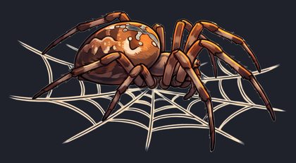 spider_isolated-view-01_transparent_v01.png