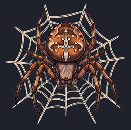 spider_isolated-view-03_transparent_v01.png