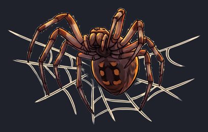 spider_isolated-view-04_transparent_v01.png