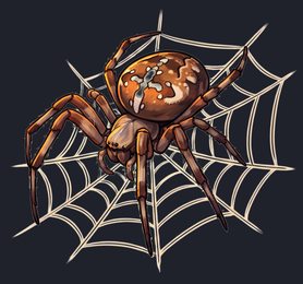 spider_isolated-view-05_transparent_v01.png
