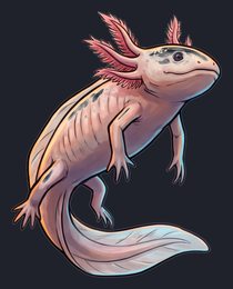 axolotl_isolated-view-03_transparent_v01.png