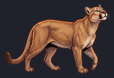mountain-lion_isolated-view-01_transparent_v01.png