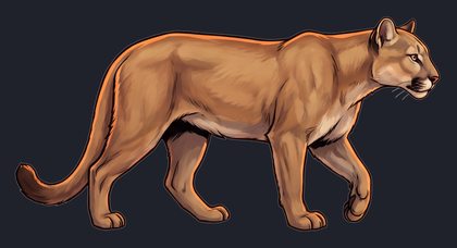 mountain-lion_isolated-view-02_transparent_v01.png