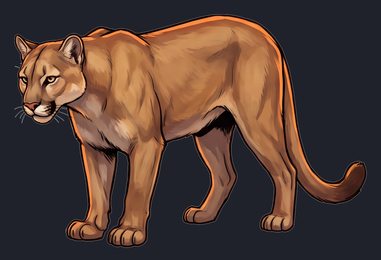 mountain-lion_isolated-view-05_transparent_v01.png