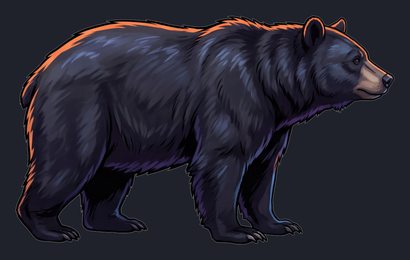 bear_isolated-view-01_transparent_v01.png