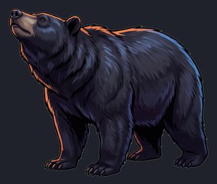 bear_isolated-view-03_transparent_v01.png