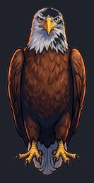 eagle_isolated-view-02_transparent_v01.png