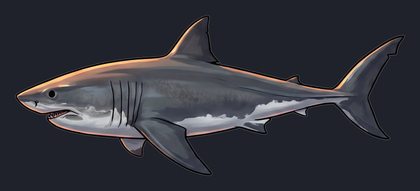 shark_isolated-view-01_transparent_v01.png